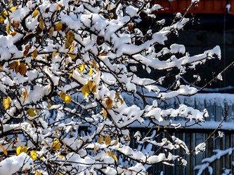 Similar image 21259597