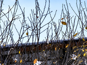 Similar image 21259598