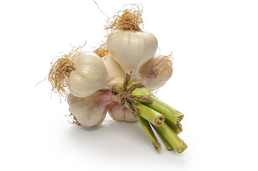 Similar image 21273453