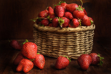 Similar image 21270683