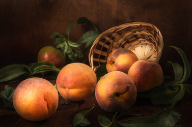 Similar image 21270690