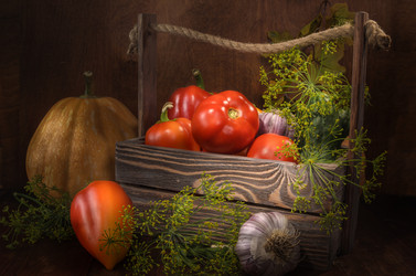 Similar image 21270696