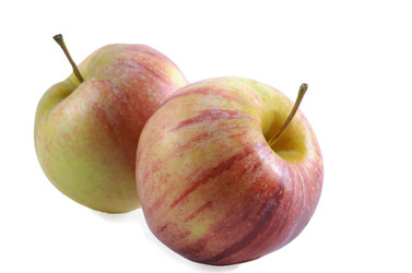 Similar image 21273461