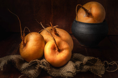 Similar image 21270699