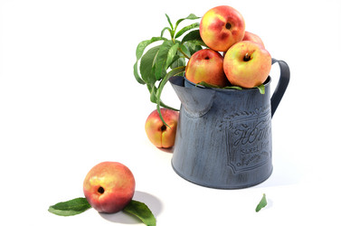 Similar image 21273483