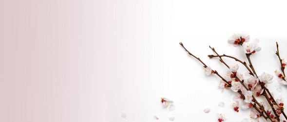 Similar image 21259605