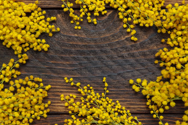 Similar image 21259606