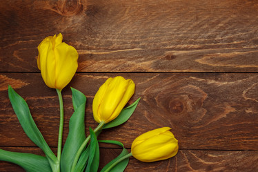 Similar image 21259611