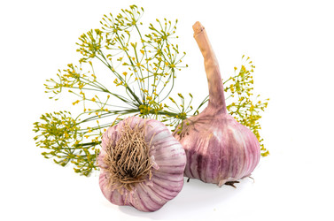 Similar image 21273422