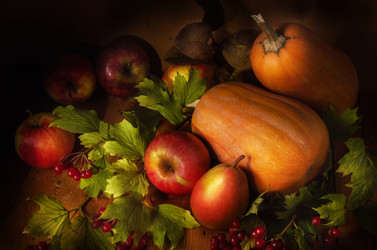 Similar image 21270701