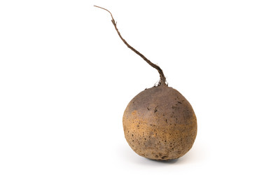 Similar image 21268047