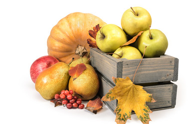 Similar image 21268053