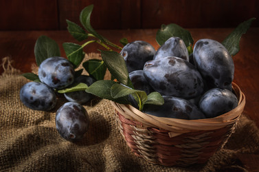 Similar image 21270705