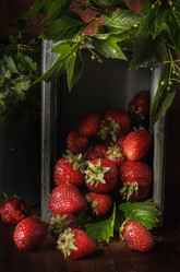 Similar image 21270707