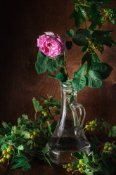 Similar image 21270709