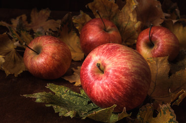 Similar image 21270711