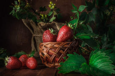 Similar image 21268068