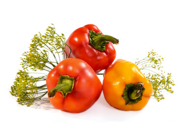 Similar image 21268069