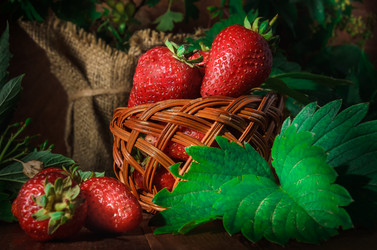 Similar image 21268070