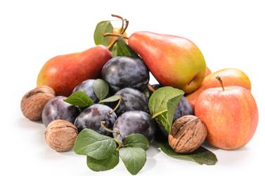 Similar image 21268075