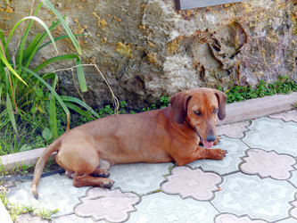 Similar image 21262583