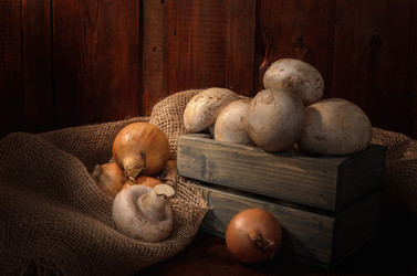 Similar image 21265348