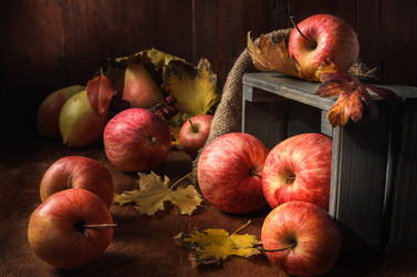 Similar image 21262415