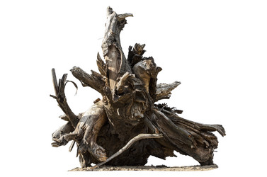 Similar image 21264689