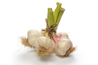 Similar image 21264692