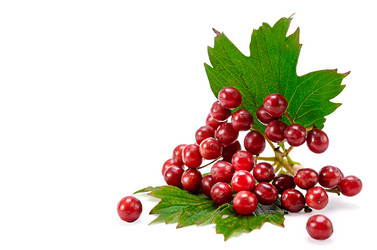 Similar image 21264693