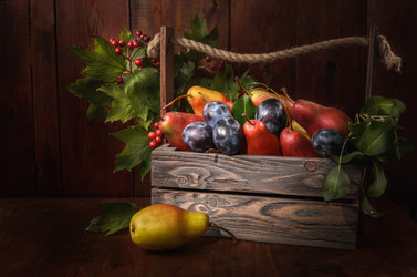 Similar image 21264694