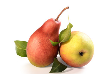 Similar image 21259616