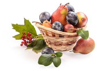 Similar image 21259620