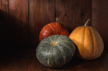 Similar image 21264700