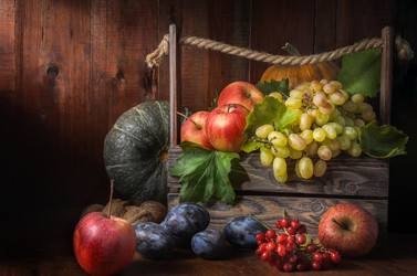 Similar image 21264702