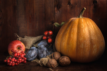 Similar image 21264706