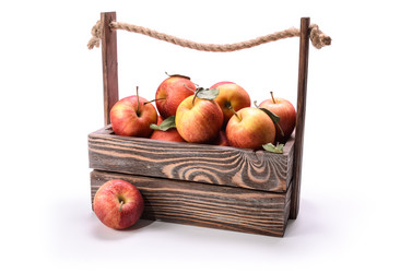 Similar image 21264710