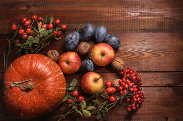 Similar image 21264719