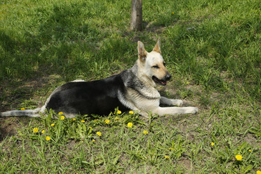 Similar image 21259227