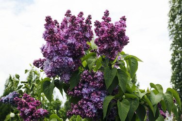 Similar image 21259229