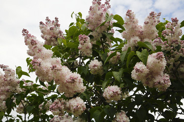 Similar image 21259230