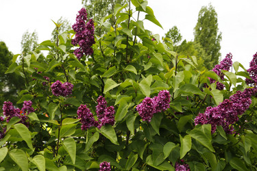 Similar image 21259231