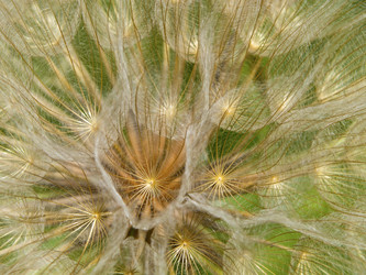 Similar image 21266312