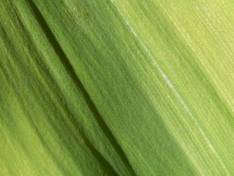 Similar image 21266313