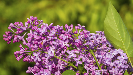 Similar image 21266315