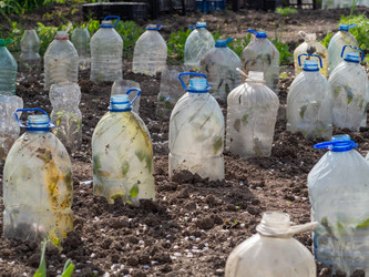 Similar image 21266316