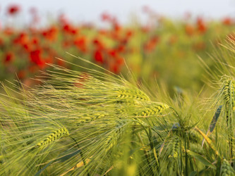 Similar image 21266325