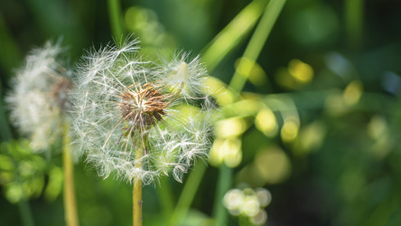 Similar image 21266326