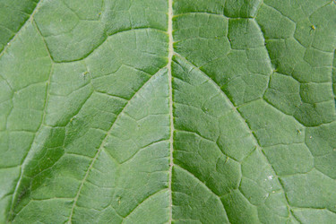 Similar image 21266328