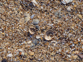 Similar image 21266329